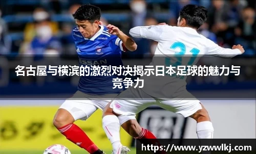 DG视讯平台
