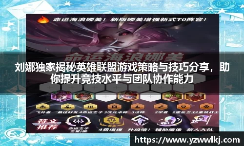 DG视讯官网